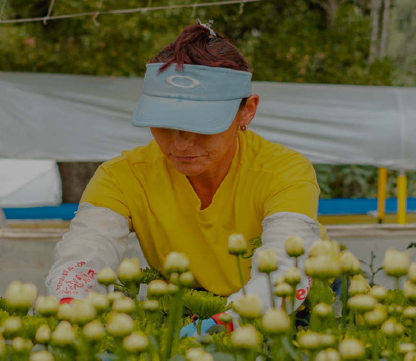 Premio de sostenibilidad Proflora 2023