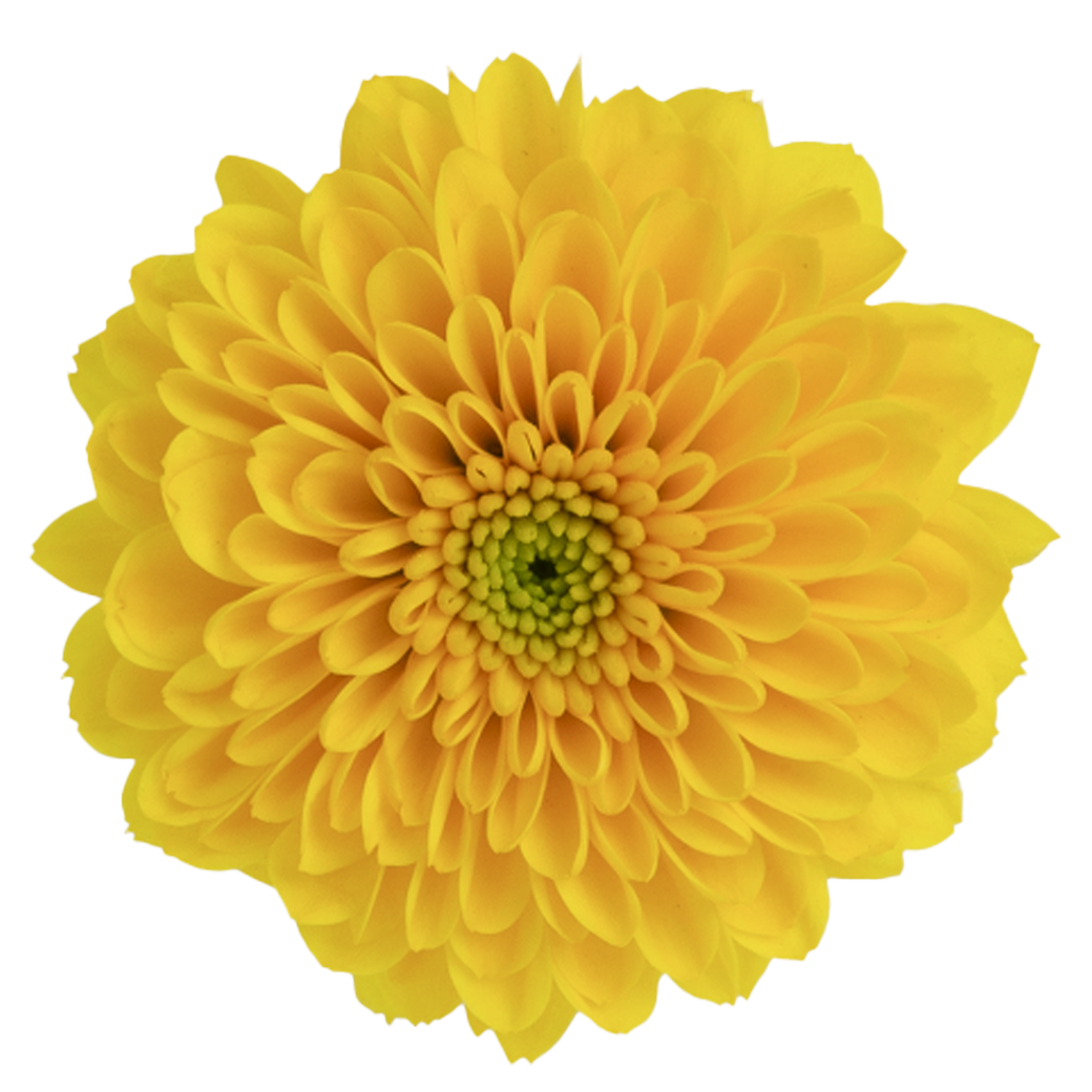 Easygold